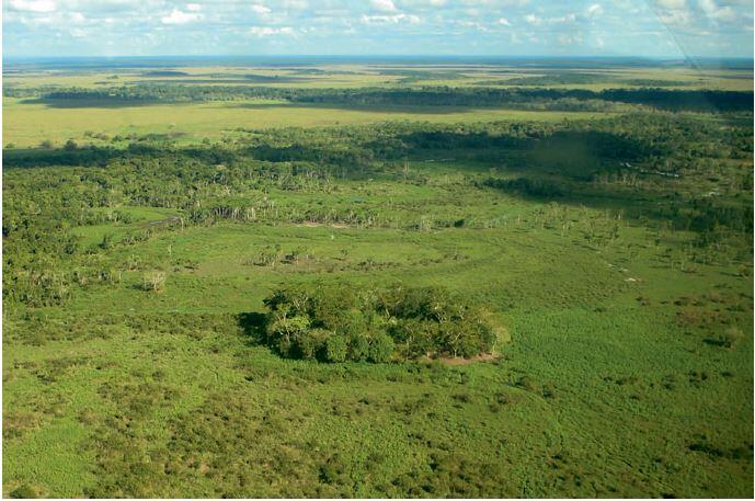 aerial view of green landscape with ring of trees in center