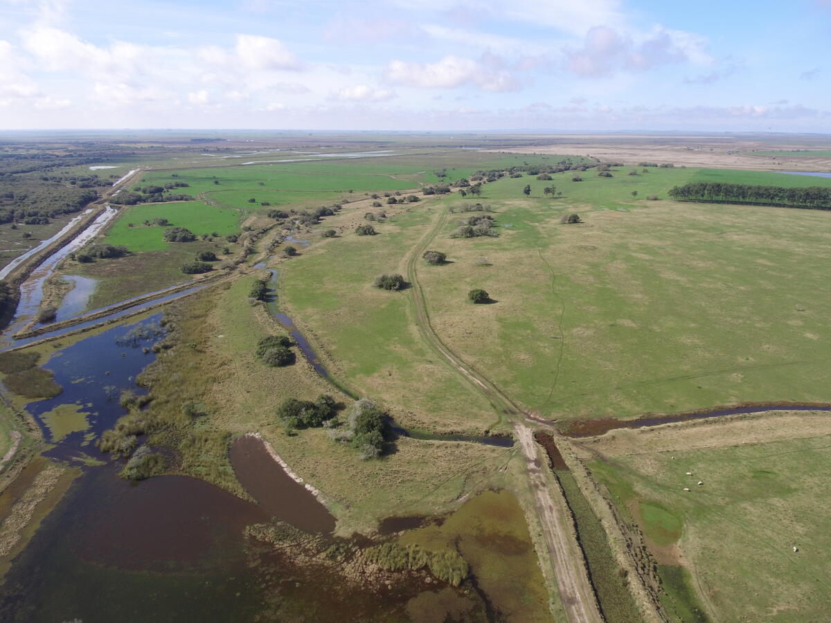 aerial photo of grassy landscape with river and pond