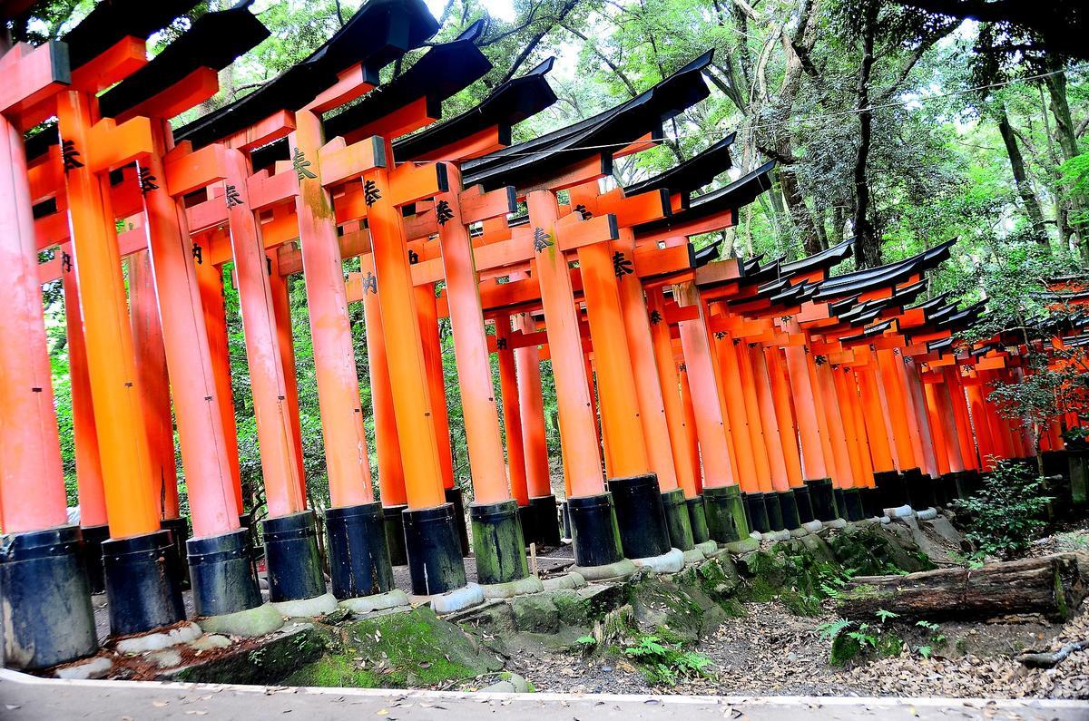 Torii-lined pathway at Fushimi Inari-taisha Shinto shrine