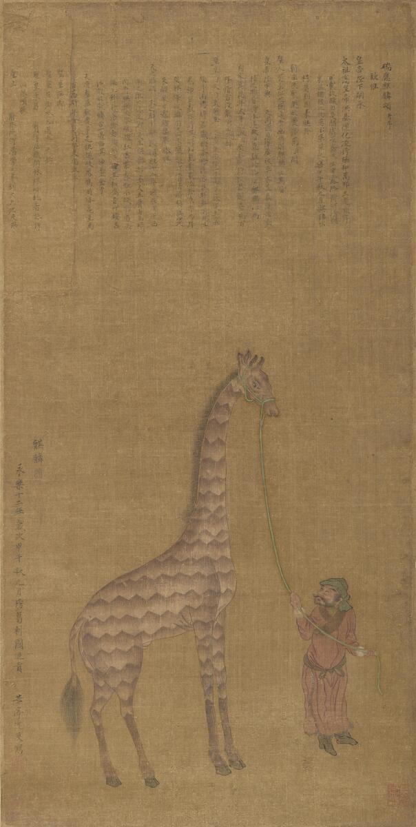 man leading a giraffe