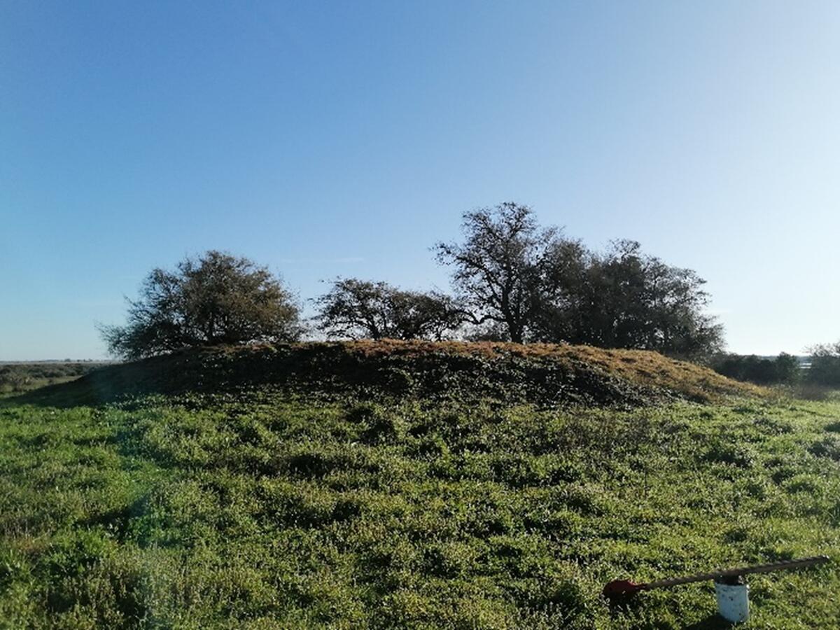grassy hill with flat top and trees on it