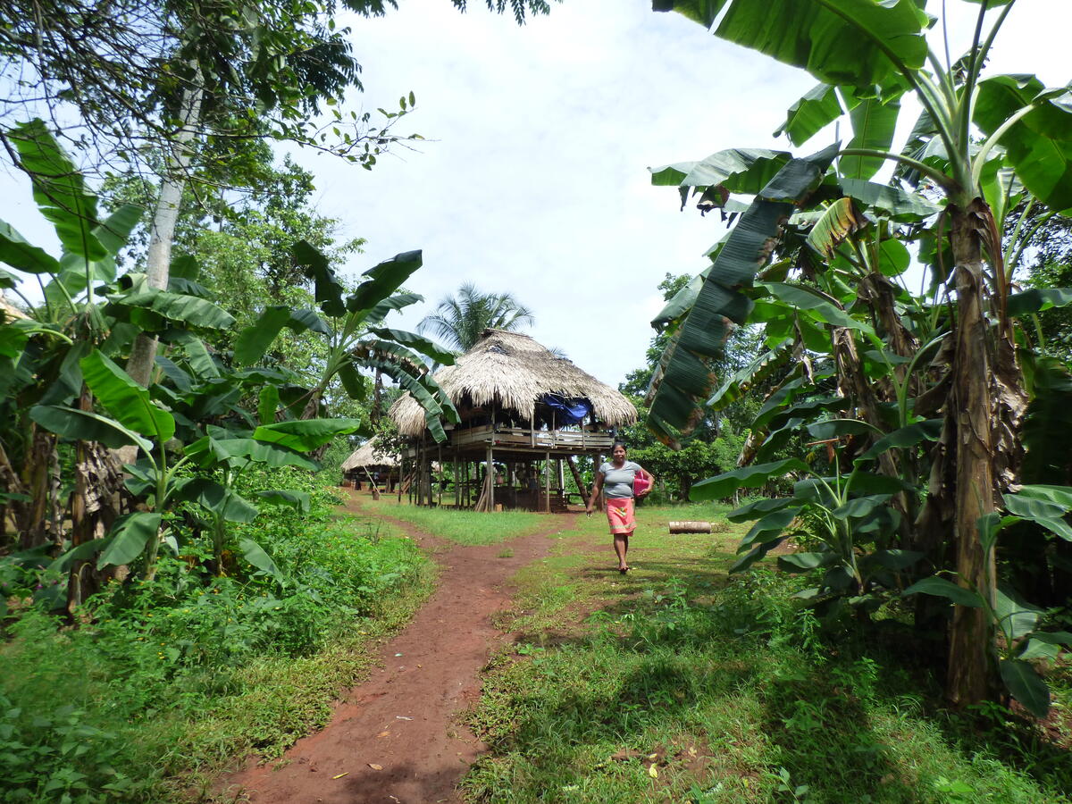 dirt path through dense vegetation, a woman, and houses on stilts in the distance