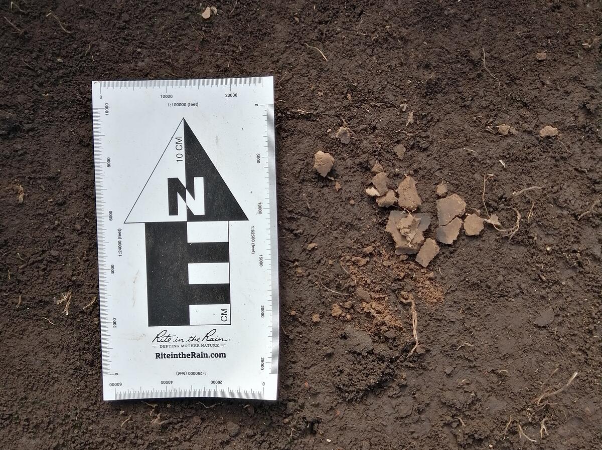 burned earth from Colina Da Monte mound soil of two different colors