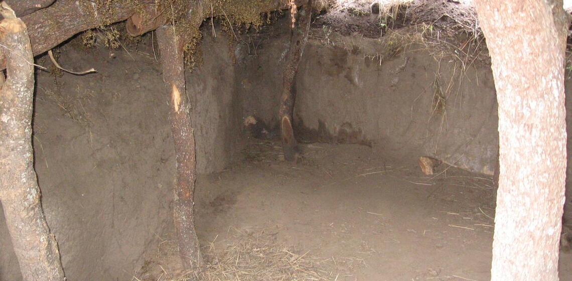 from outside looking down into pit-house, straight earthen walls, flat earthen floor, wooden pillars holding up roof
