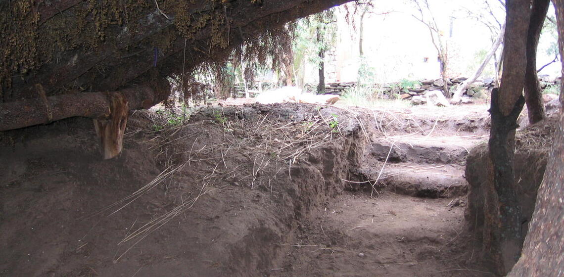 house interior, earthen floors with steps leading out and up to ground level