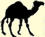 camel image to indicate side trip